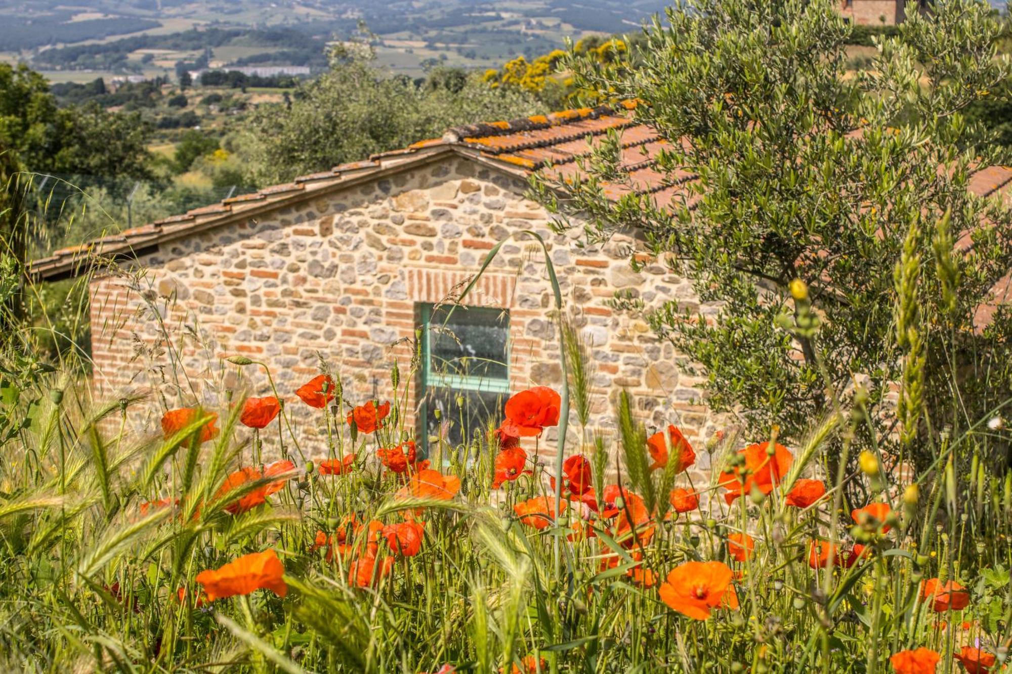 Agriturismo Dandelion Citta della Pieve Exterior photo